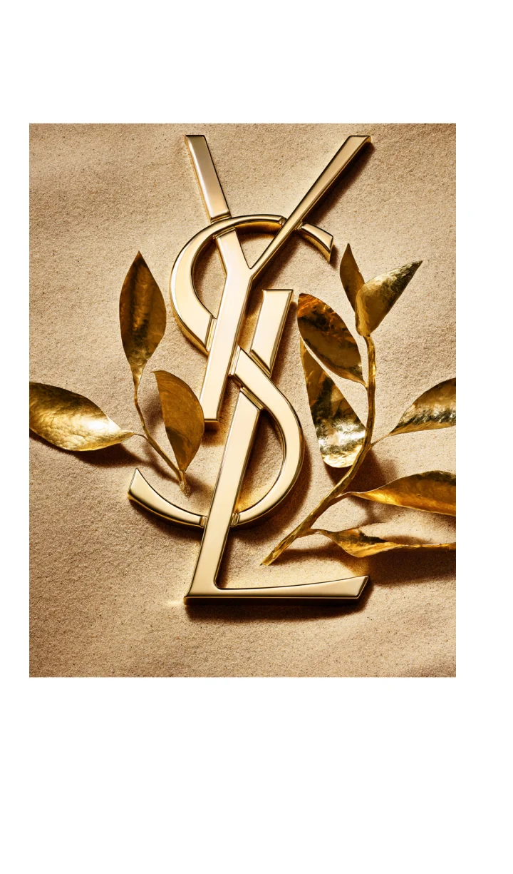 ysl image 3