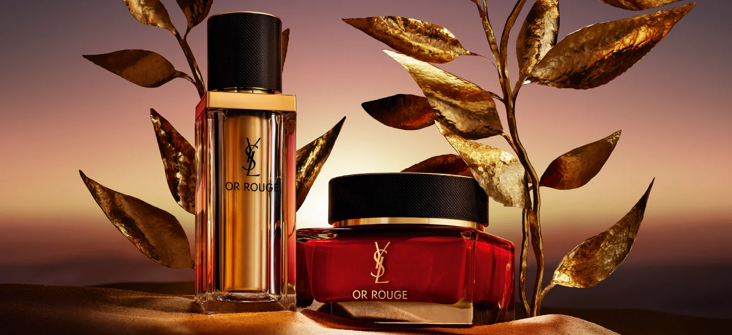 ysl image 4